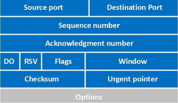 TCP Header